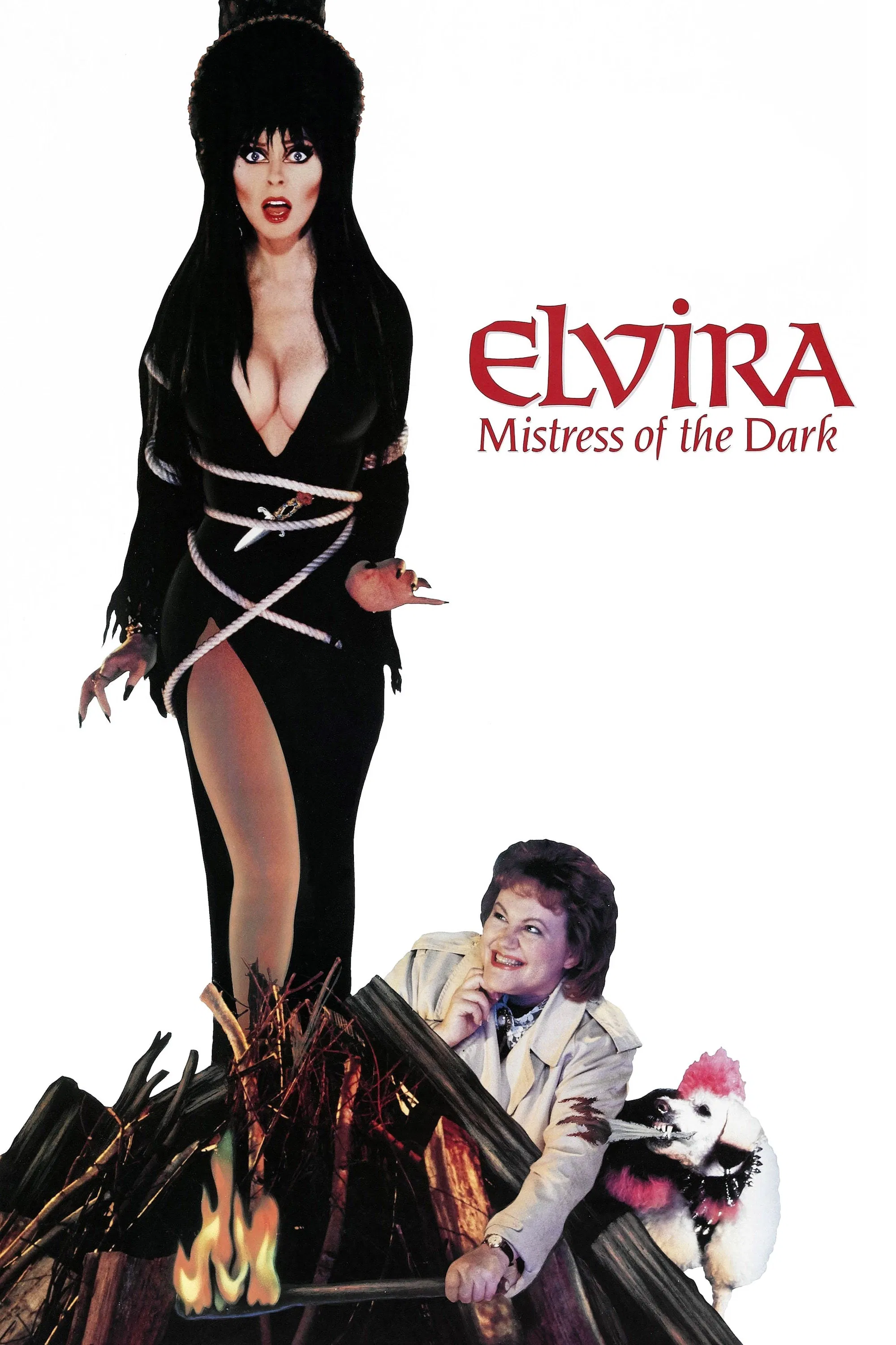 movie-card